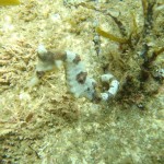 P9210006