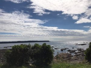 img_0067